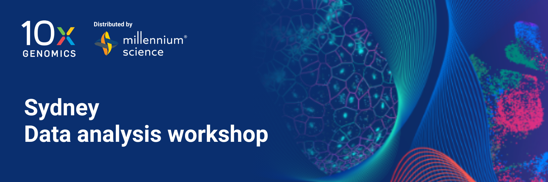 2026 data analysis workshop (1)