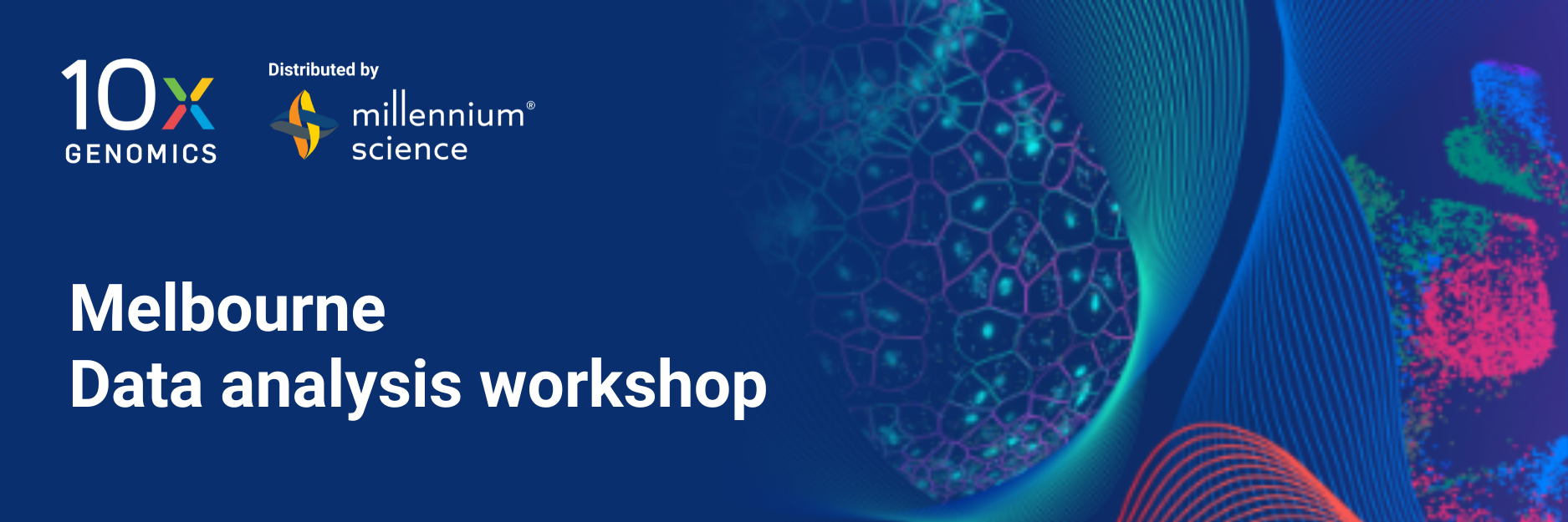 2026 data analysis workshop